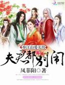 弃江山爱美男:夫君都别闹